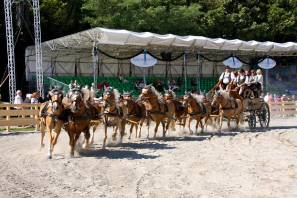 Zehnerzug im Einsatz